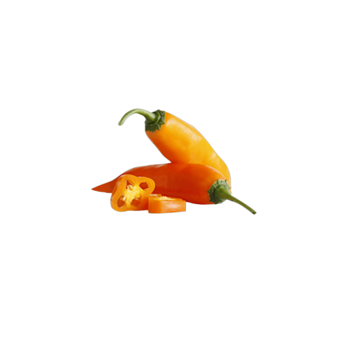 Vegetales Congelados INDUFRUT